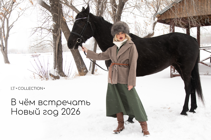 В чём встречать Новый год 2026: образы для каждого знака зодиака. Часть 1